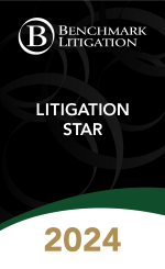 Litigation Star Benchmark Litigation 2024